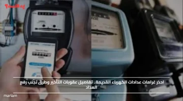 احذر غرامات عدادات الكهرباء القديمة.. تفاصيل عقوبات التأخير وطرق تجنب رفع العداد